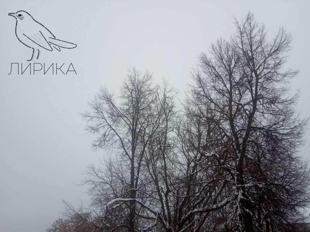 1_mk_nsH4SH14 (1).jpg